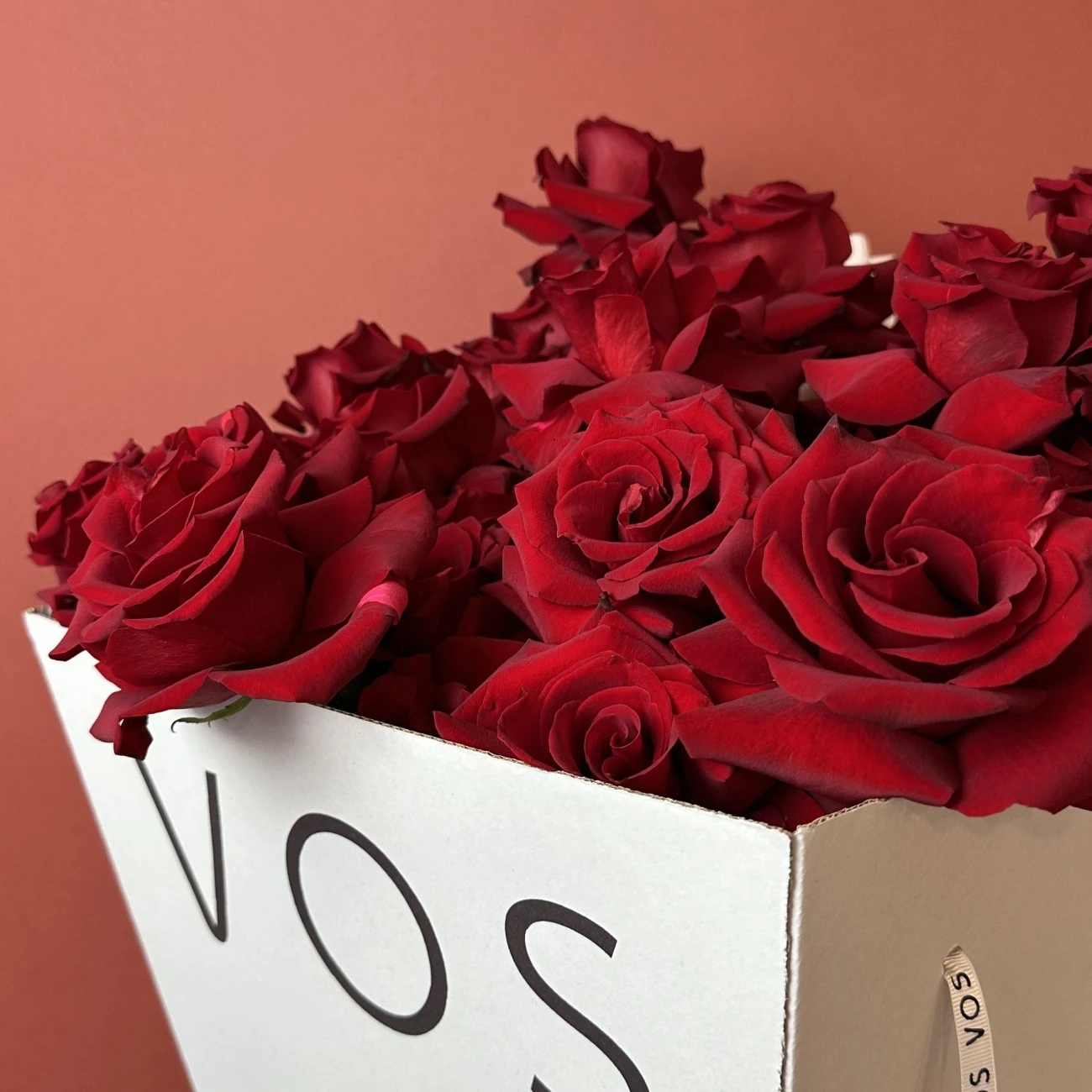 Vos Mono No.12 (31 Kırmızı Ekvator Gülü)