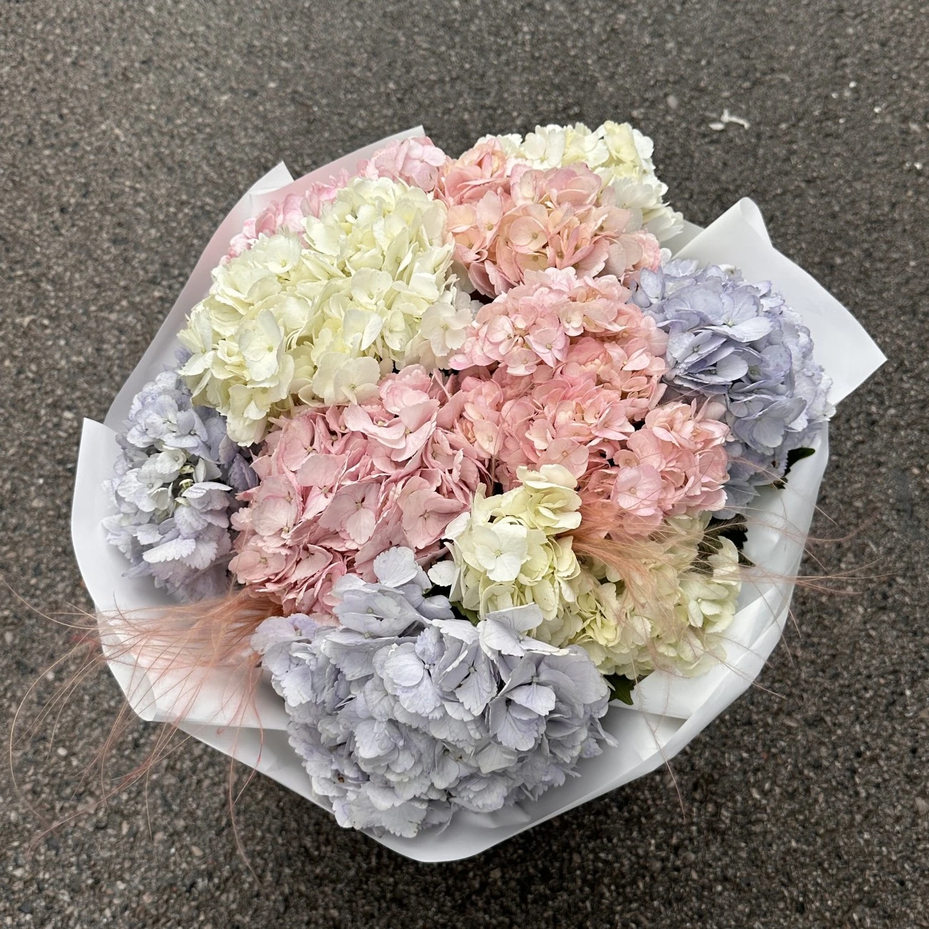 Vos Mono No.16 (11'li Ortanca Buketi)