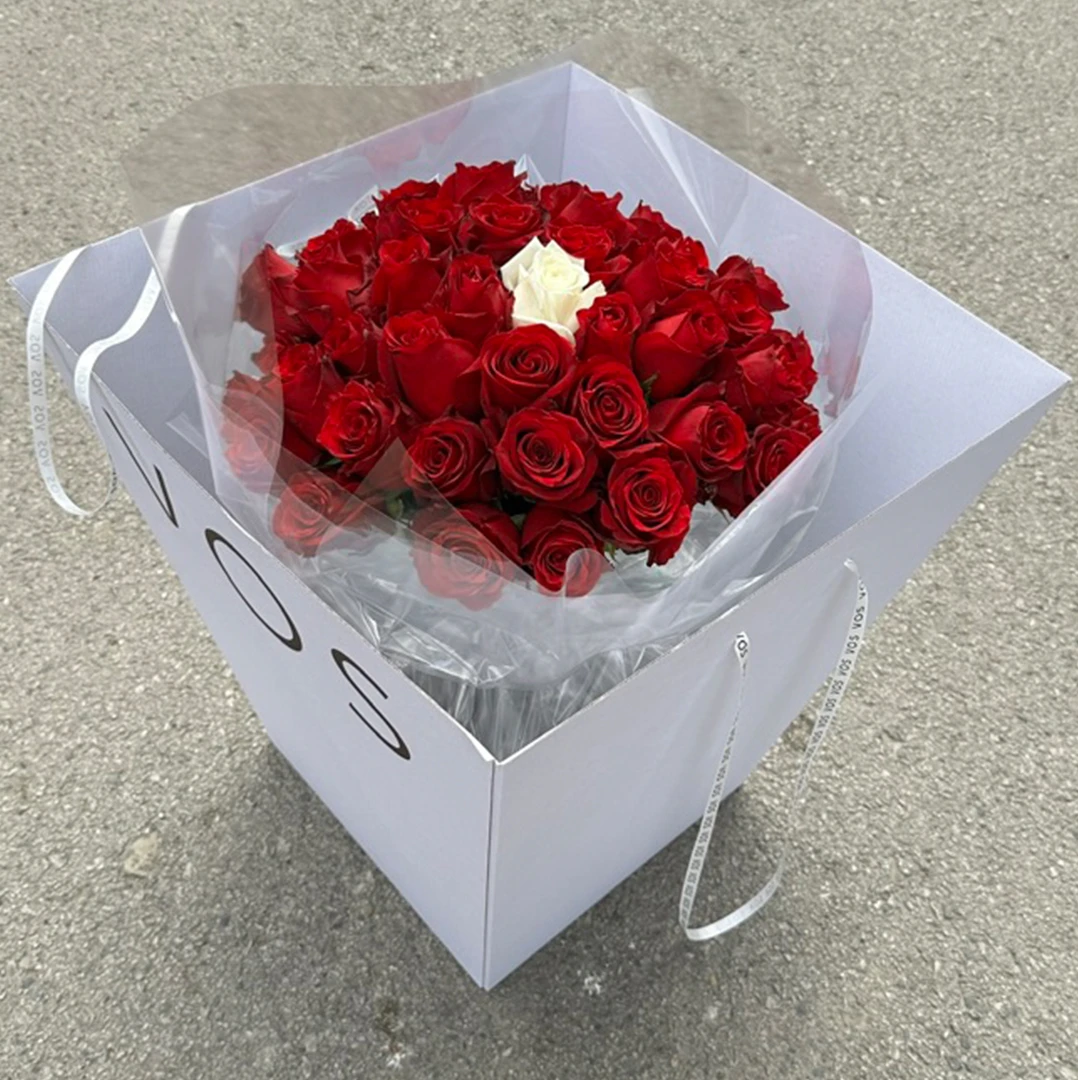 Vos Mono No.14 (51 Kırmızı Ekvator Gülü)