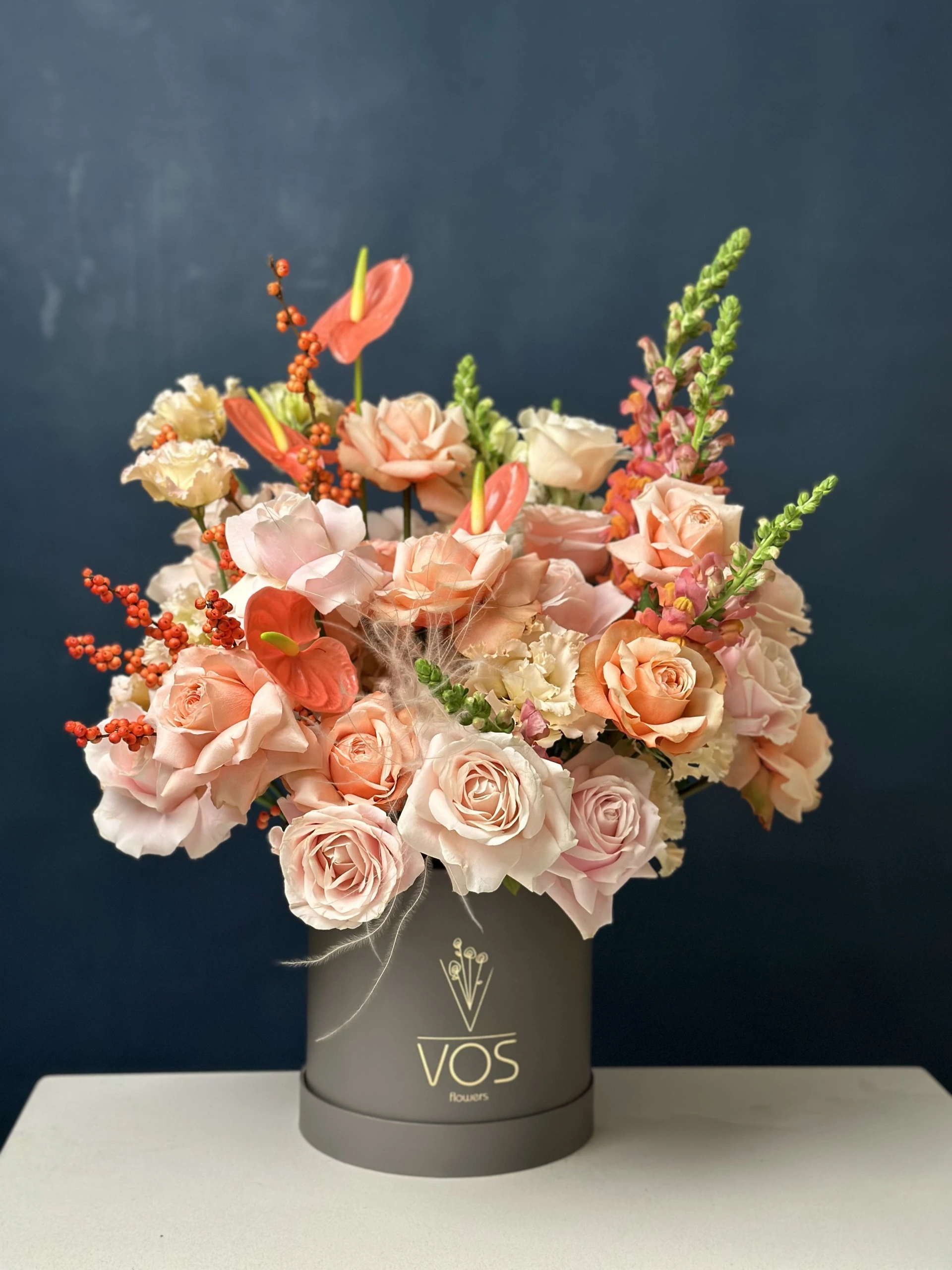 VOS Kutu No.02