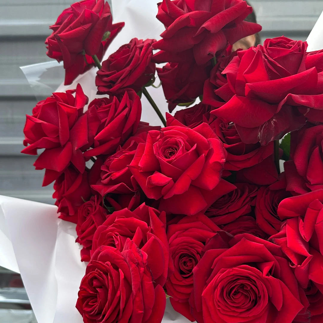 Vos Mono No.15 (41 Kırmızı Ekvator Gülü)